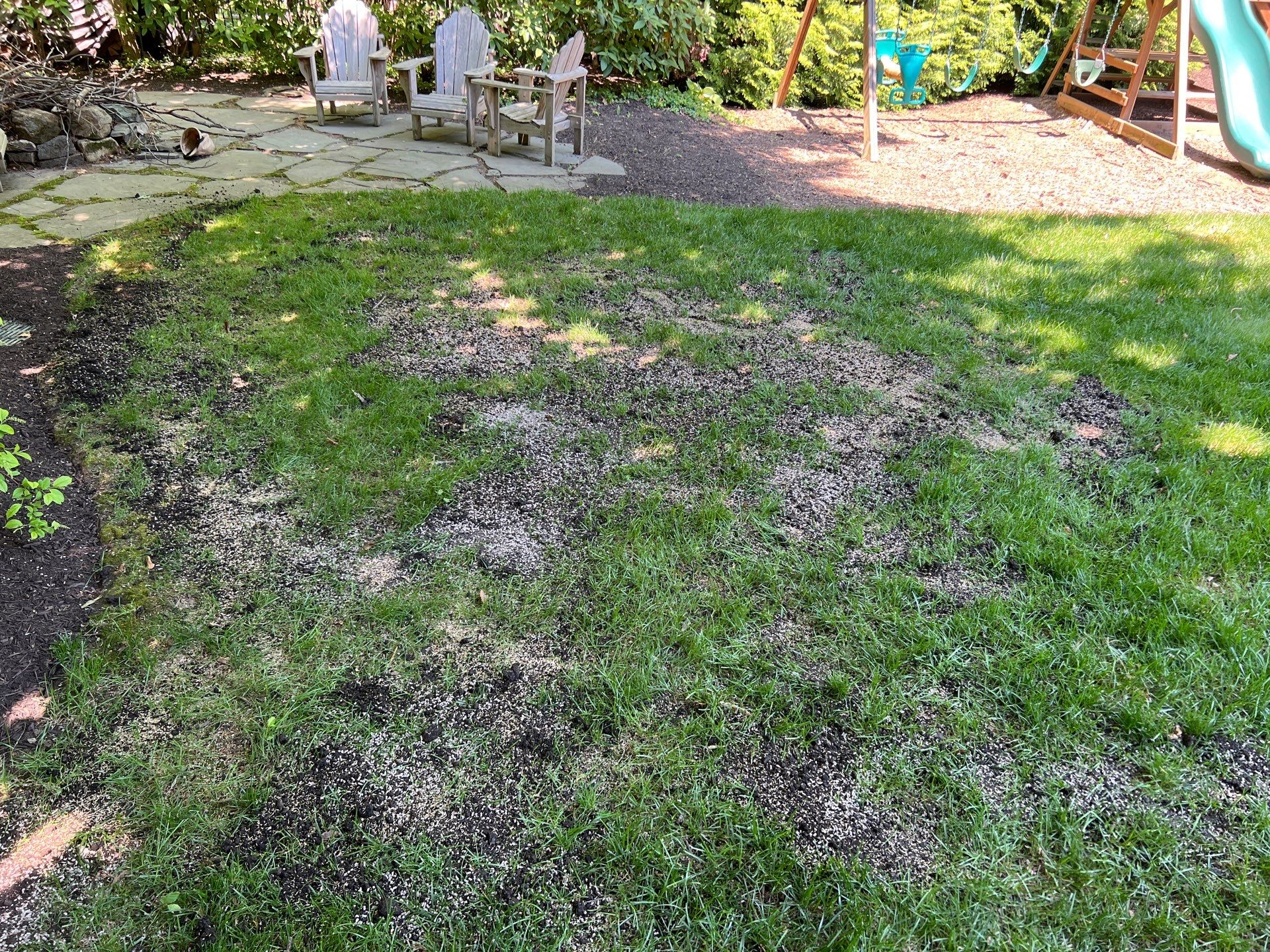 Wet Yard & Standing Water Solutions — damaged patchy lawn from chronic moisture